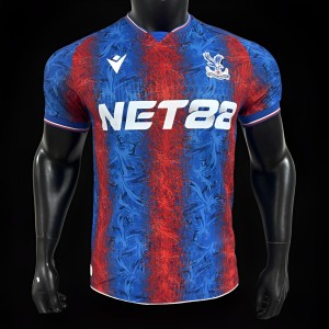 Player Version 24/25 Crystal Palace Home