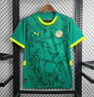 2024 Senegal Away Green Jersey